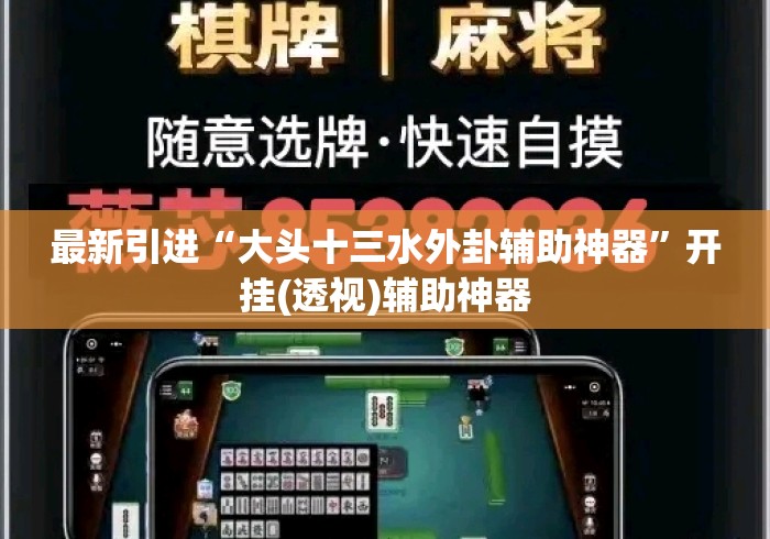 最新引进“大头十三水外卦辅助神器”开挂(透视)辅助神器