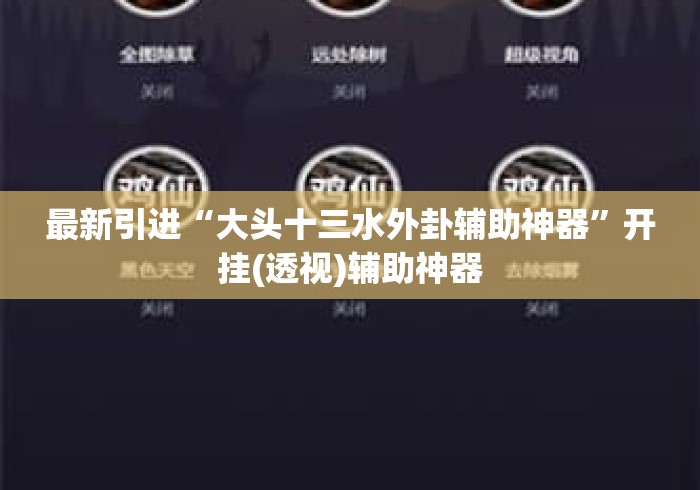 最新引进“大头十三水外卦辅助神器	”开挂(透视)辅助神器