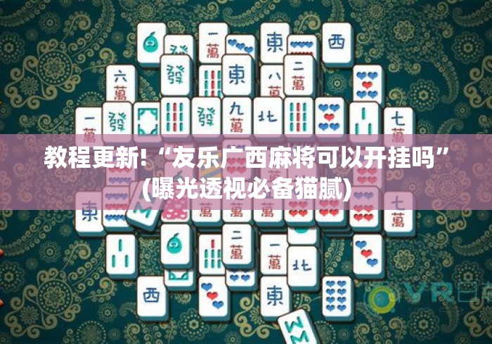 教程更新!“友乐广西麻将可以开挂吗”(曝光透视必备猫腻)