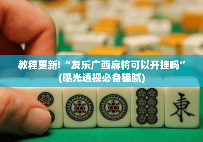 教程更新!“友乐广西麻将可以开挂吗	”(曝光透视必备猫腻)