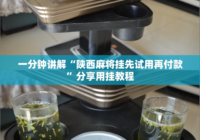 一分钟讲解“陕西麻将挂先试用再付款”分享用挂教程