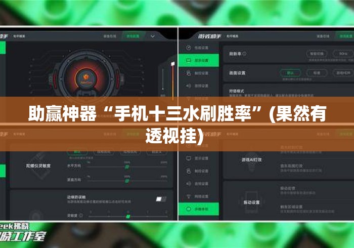 助赢神器“手机十三水刷胜率	”(果然有透视挂) 