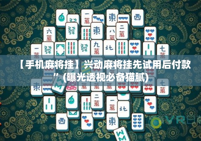 【手机麻将挂】兴动麻将挂先试用后付款	”(曝光透视必备猫腻)