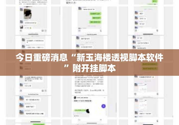 今日重磅消息“新玉海楼透视脚本软件”附开挂脚本