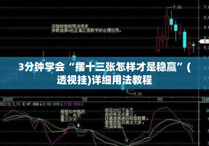 3分钟学会“摆十三张怎样才是稳赢”(透视挂)详细用法教程