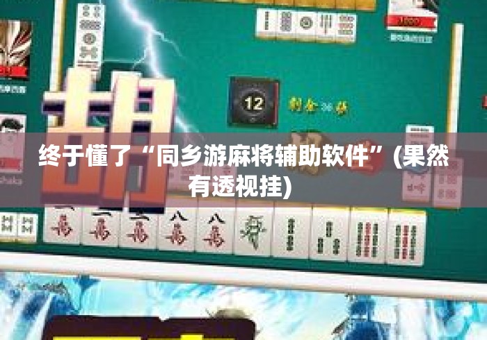 终于懂了“同乡游麻将辅助软件”(果然有透视挂) 