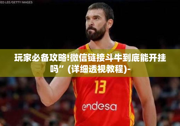 玩家必备攻略!微信链接斗牛到底能开挂吗”(详细透视教程)-