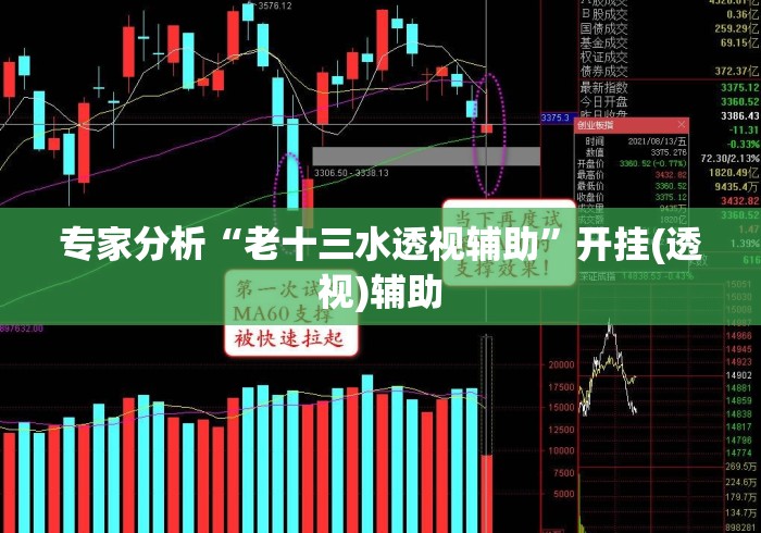 专家分析“老十三水透视辅助”开挂(透视)辅助
