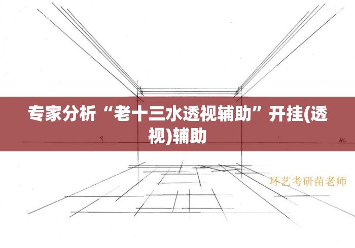专家分析“老十三水透视辅助”开挂(透视)辅助