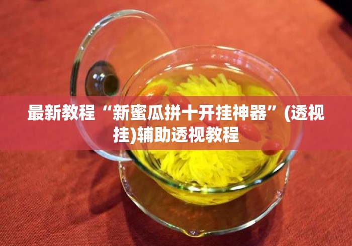 最新教程“新蜜瓜拼十开挂神器	”(透视挂)辅助透视教程