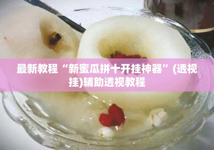 最新教程“新蜜瓜拼十开挂神器”(透视挂)辅助透视教程