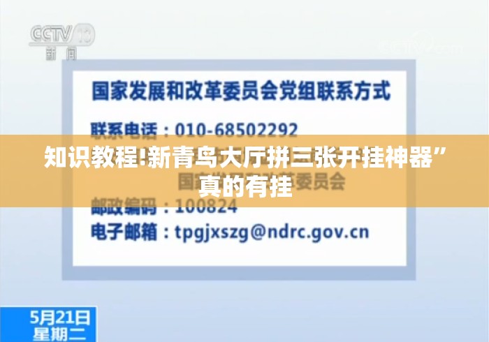 知识教程!新青鸟大厅拼三张开挂神器”真的有挂