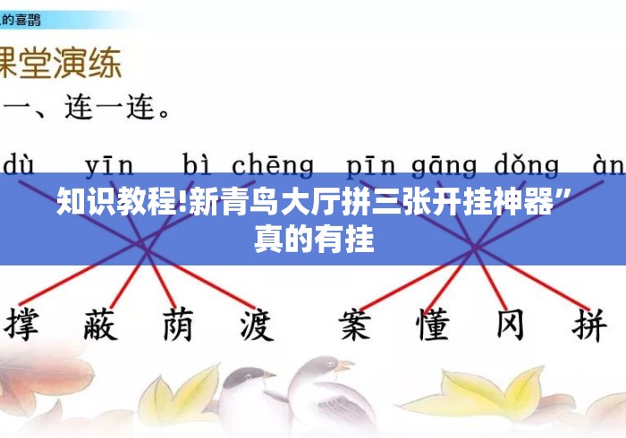 知识教程!新青鸟大厅拼三张开挂神器”真的有挂