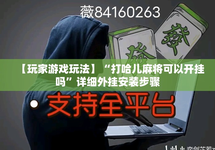 【玩家游戏玩法】“打哈儿麻将可以开挂吗”详细外挂安装步骤