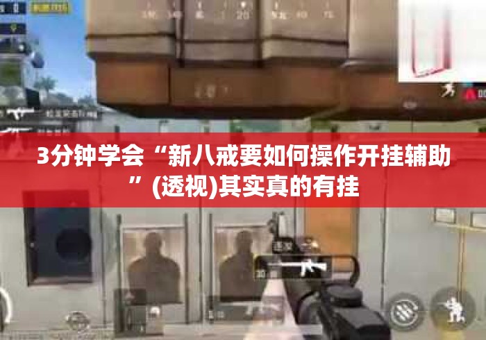 3分钟学会“新八戒要如何操作开挂辅助	”(透视)其实真的有挂
