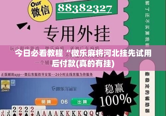 专家分析“如何在微乐麻将上开挂教程”附透视挂详细教程