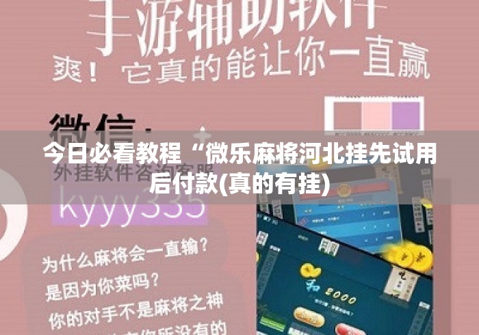 今日必看教程“微乐麻将河北挂先试用后付款(真的有挂)