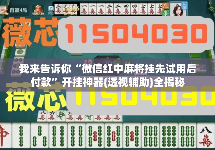 我来告诉你“微信红中麻将挂先试用后付款”开挂神器{透视辅助}全揭秘