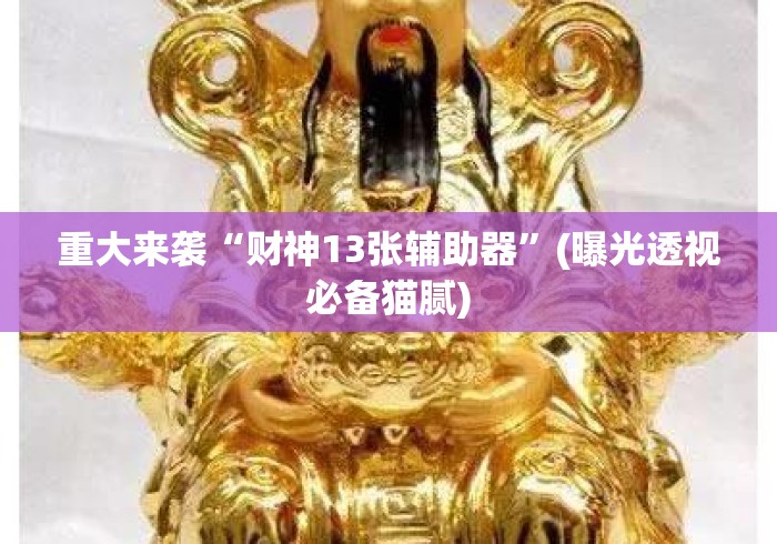 重大来袭“财神13张辅助器”(曝光透视必备猫腻)