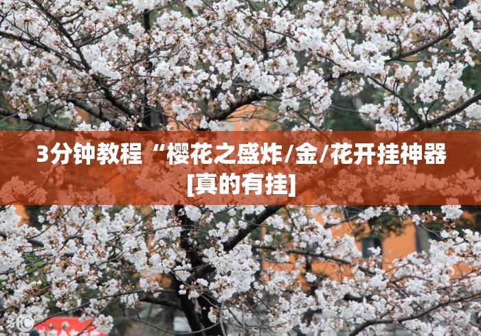 必备科技“大头游戏十三水开挂辅助器是什么弄的”其实确实有挂