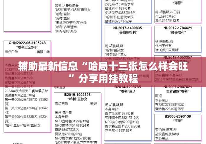 辅助最新信息“哈局十三张怎么样会旺”分享用挂教程