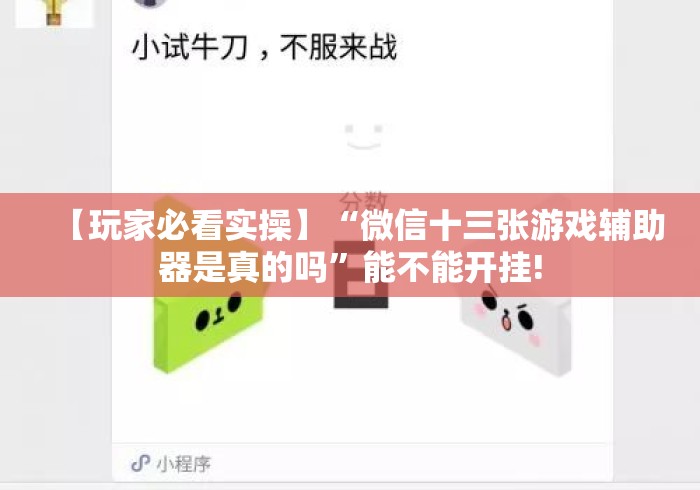 【玩家必看实操】“微信十三张游戏辅助器是真的吗”能不能开挂!