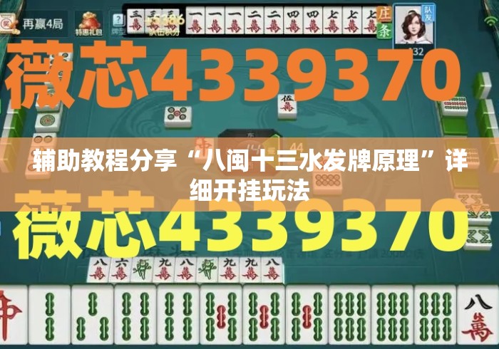 辅助教程分享“八闽十三水发牌原理”详细开挂玩法