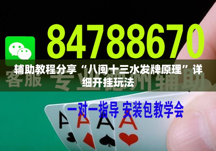 辅助教程分享“八闽十三水发牌原理”详细开挂玩法