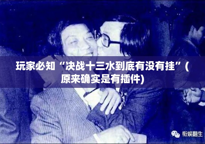 玩家必知“决战十三水到底有没有挂”(原来确实是有插件)