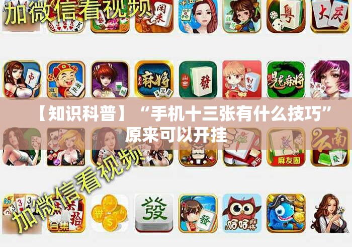 【知识科普】“手机十三张有什么技巧”原来可以开挂