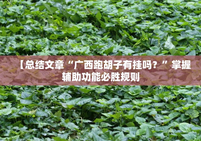 【总结文章“广西跑胡子有挂吗？”掌握辅助功能必胜规则