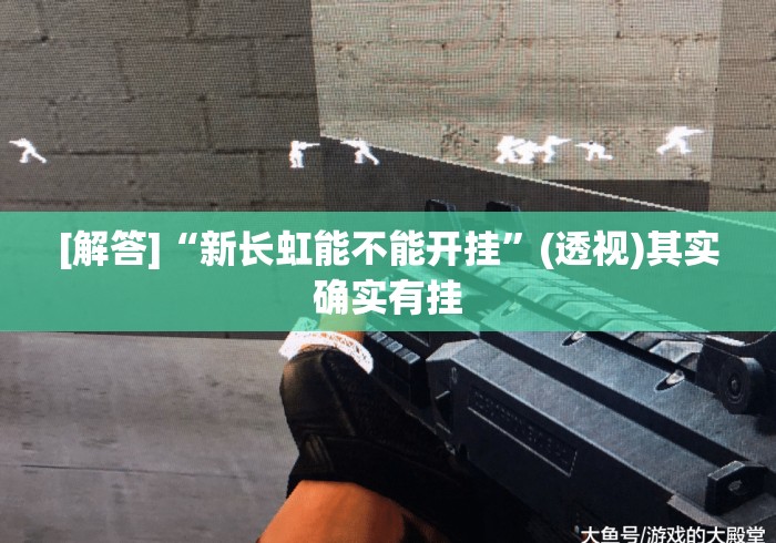 [解答]“新长虹能不能开挂	”(透视)其实确实有挂