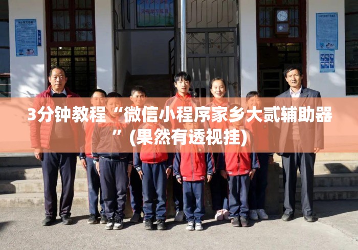 3分钟教程“微信小程序家乡大贰辅助器”(果然有透视挂)