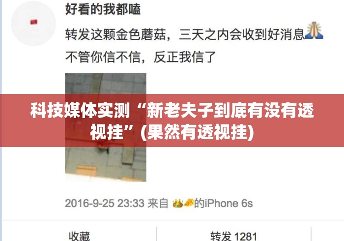 科技媒体实测“新老夫子到底有没有透视挂	”(果然有透视挂)