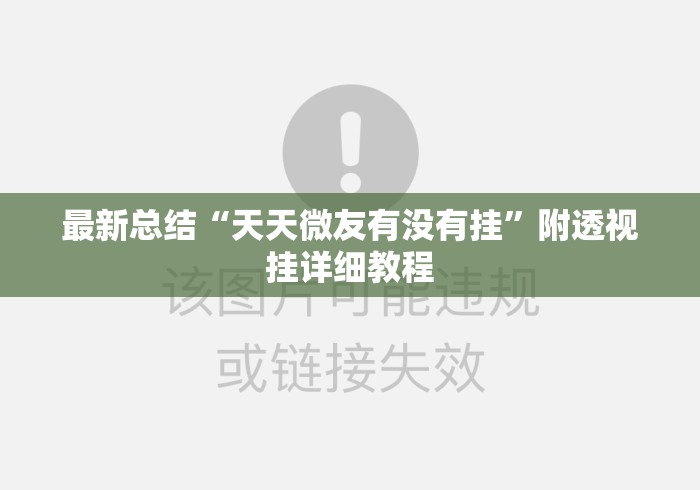 最新总结“天天微友有没有挂”附透视挂详细教程