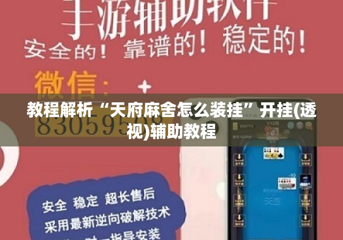 教程解析“天府麻舍怎么装挂”开挂(透视)辅助教程