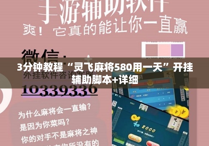 3分钟教程“灵飞麻将580用一天”开挂辅助脚本+详细