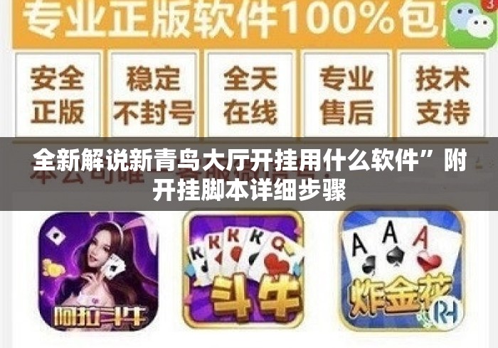 全新解说新青鸟大厅开挂用什么软件”附开挂脚本详细步骤