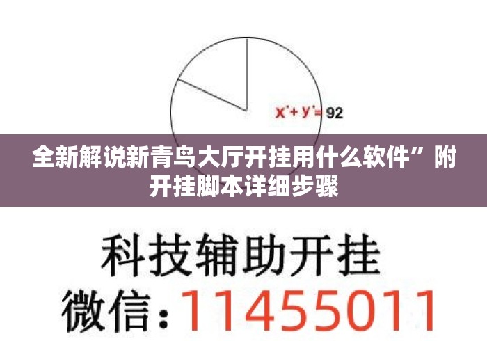 全新解说新青鸟大厅开挂用什么软件	”附开挂脚本详细步骤