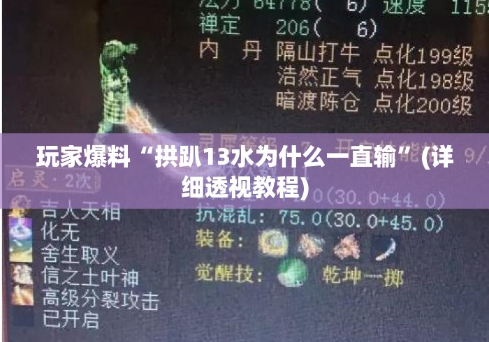 玩家爆料“拱趴13水为什么一直输”(详细透视教程)