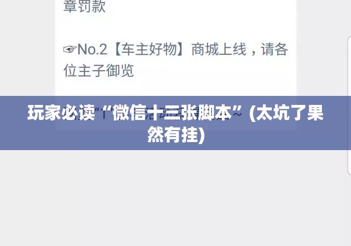玩家必读“微信十三张脚本”(太坑了果然有挂)