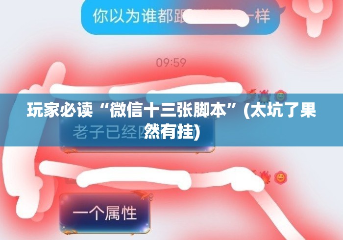 玩家必读“微信十三张脚本”(太坑了果然有挂)
