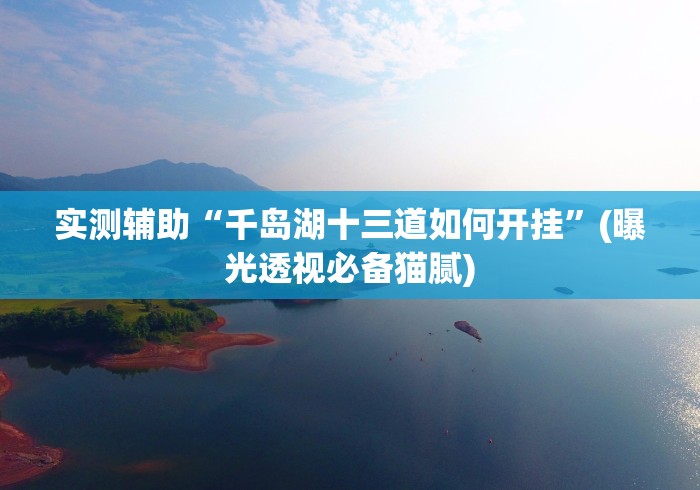 实测辅助“千岛湖十三道如何开挂”(曝光透视必备猫腻)