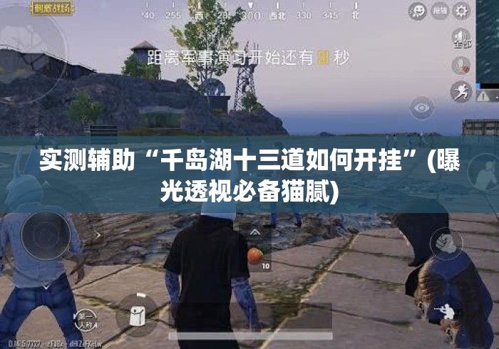 实测辅助“千岛湖十三道如何开挂”(曝光透视必备猫腻)