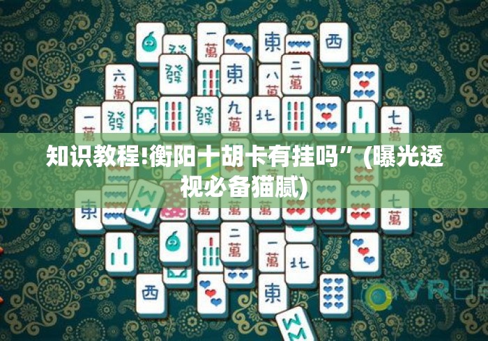 知识教程!衡阳十胡卡有挂吗”(曝光透视必备猫腻)
