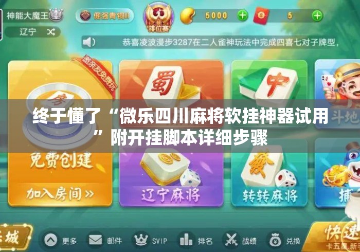 终于懂了“微乐四川麻将软挂神器试用”附开挂脚本详细步骤