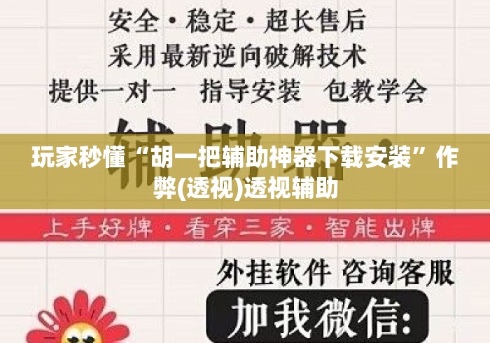 玩家秒懂“胡一把辅助神器下载安装	”作弊(透视)透视辅助