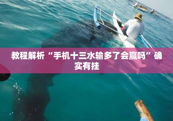 教程解析“手机十三水输多了会赢吗”确实有挂