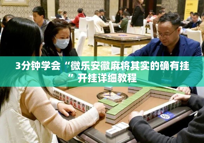 3分钟学会“微乐安徽麻将其实的确有挂”开挂详细教程