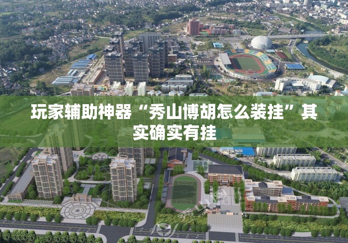 玩家辅助神器“秀山博胡怎么装挂”其实确实有挂